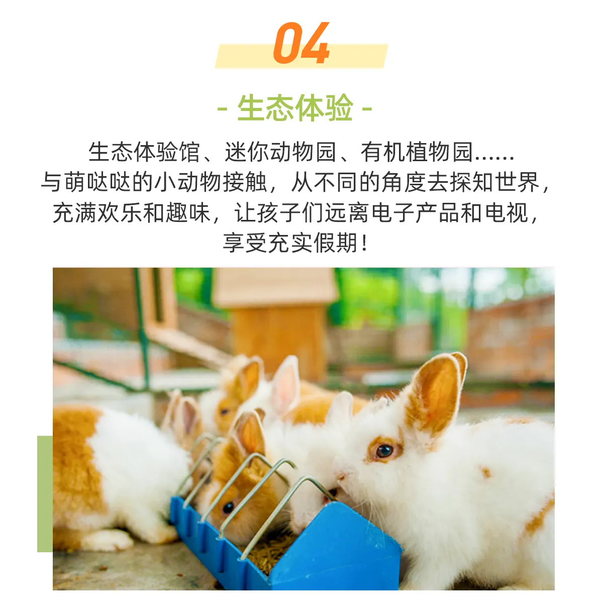 深圳观澜湖酒店生态体验